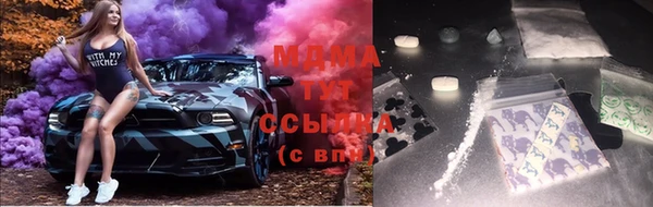 тгк Абаза
