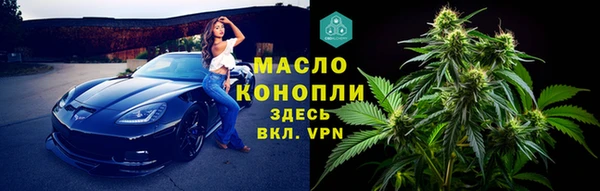 тгк Абаза
