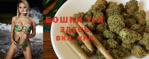 тгк Абаза