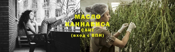 тгк Абаза