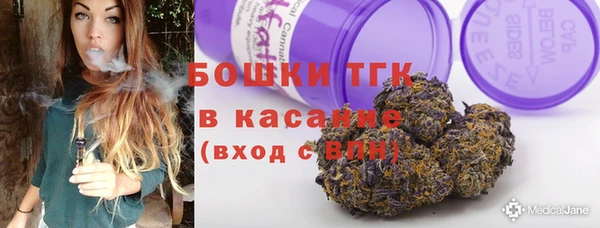 тгк Абаза