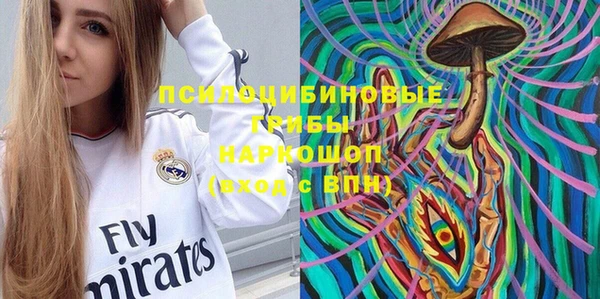 тгк Абаза