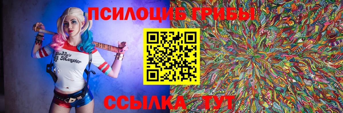 Смоленск  Псилоцибиновые грибы Psilocybine cubensis  Вход с VPN  где продают наркотики  Галлюциногенные грибы Psilocybine cubensis 