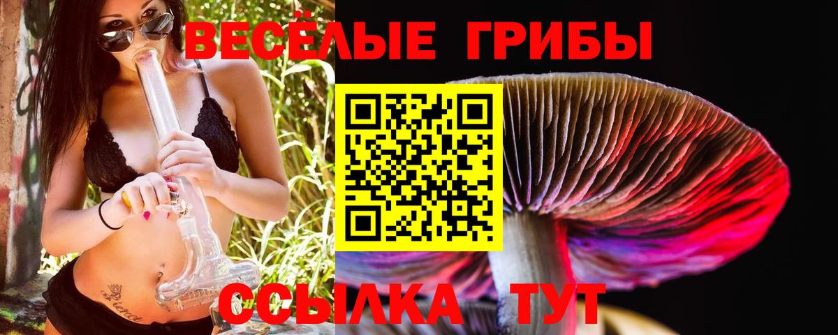 Псилоцибиновые грибы мухоморы Смоленск