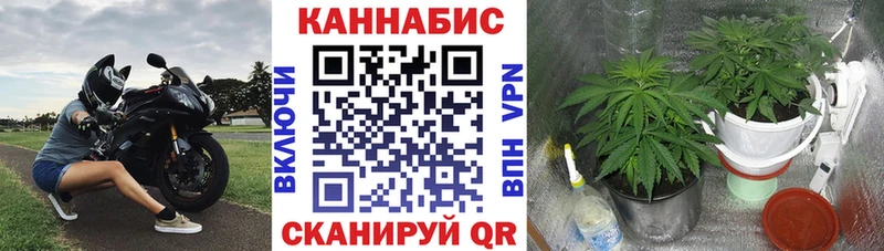 Канабис марихуана  Смоленск 